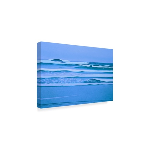 Ron Parker 'Sombre Shore' Canvas Art,16x24